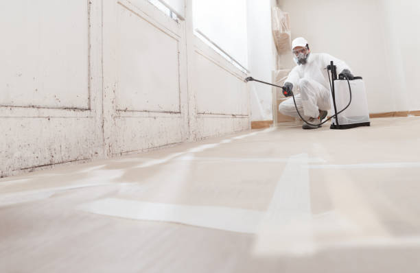 24/7 Emergency Black Mold Removal experts in Pope Army Airfield, NC
