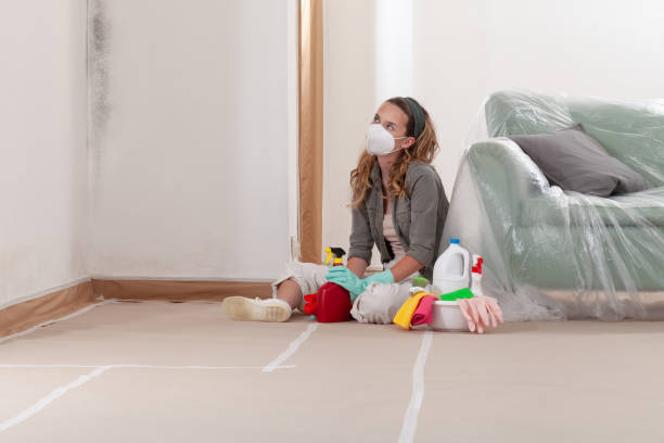 Reliable Black Mold Removal contractor in Pope Army Airfield, NC by WQB Mold Removal